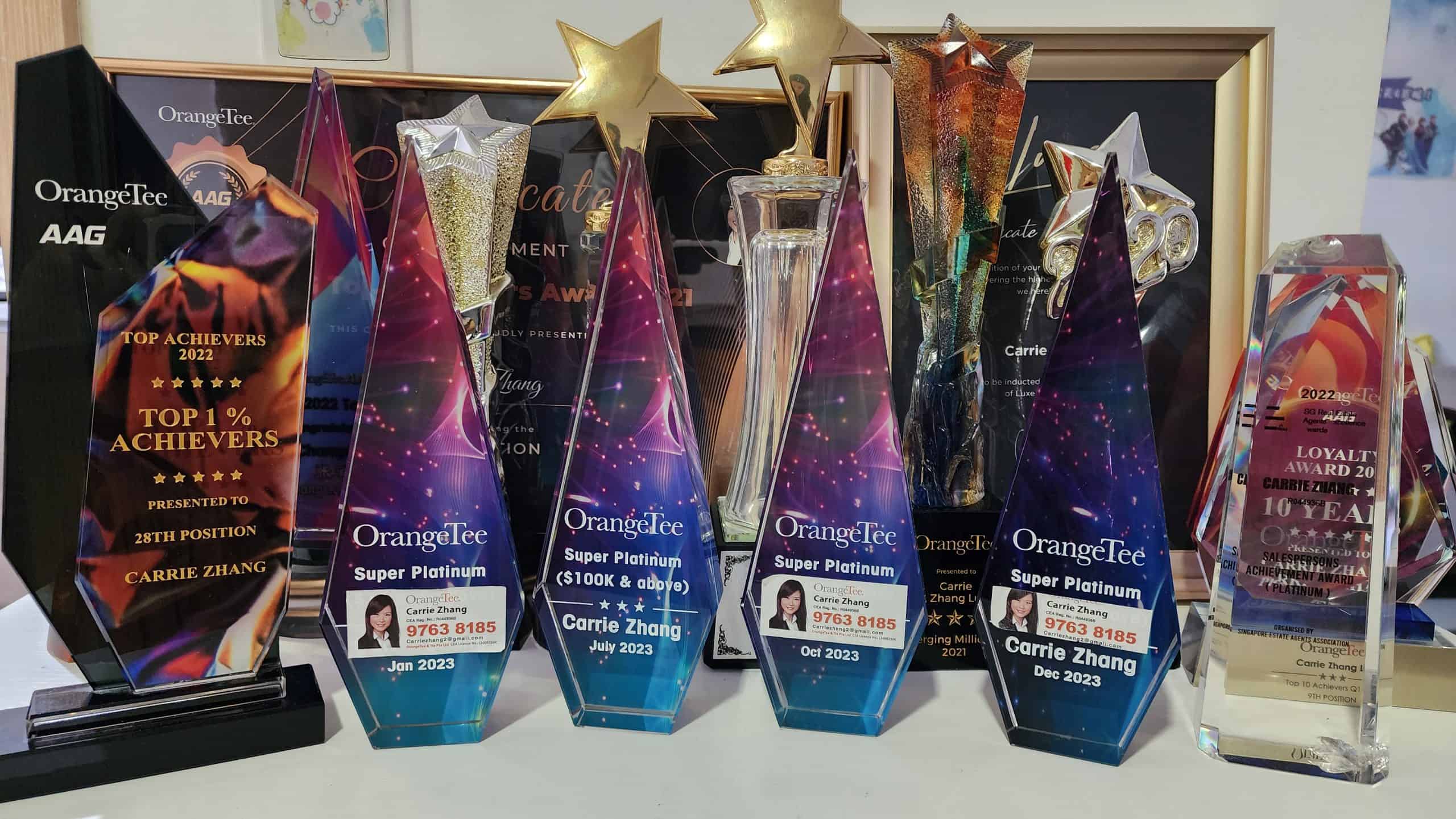 Carrie Zhang Award 2