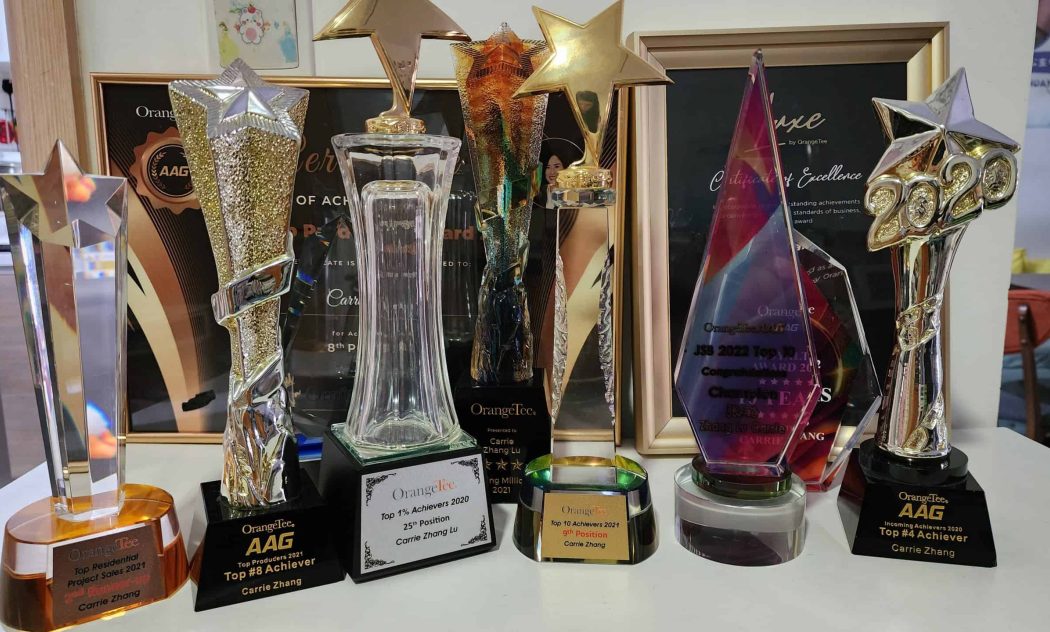 Carrie Zhang Award 3